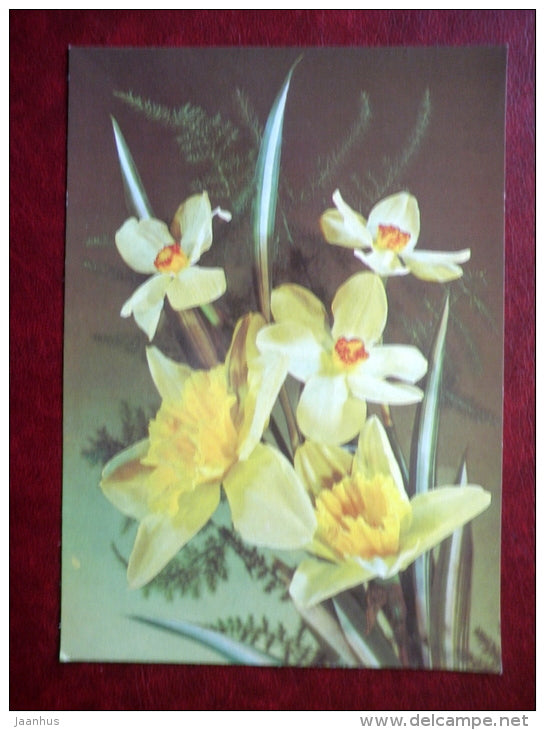 Greeting card - yellow daffodils - narcissus - flowers - 1989 - Russia USSR - used - JH Postcards