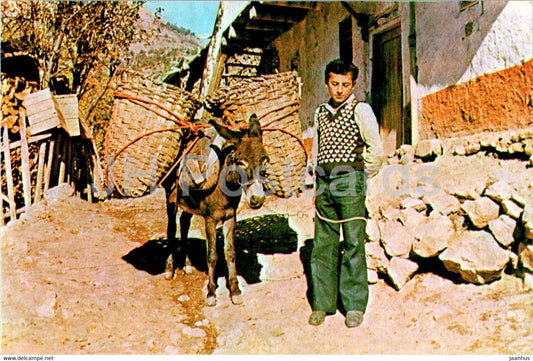 Tebsan - animals - donkey - Turkey - unused - JH Postcards