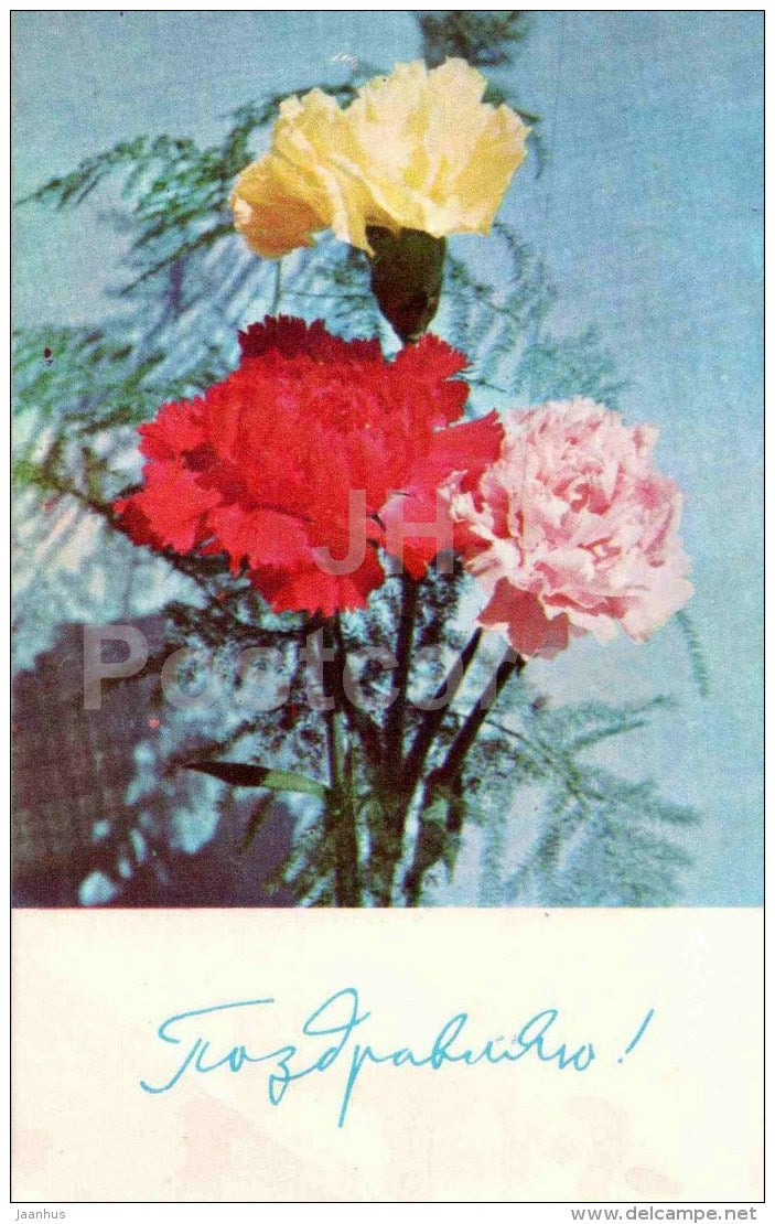 red , yellow , pink carnation - greeting card - flowers - 1967 - Estonia USSR - used - JH Postcards
