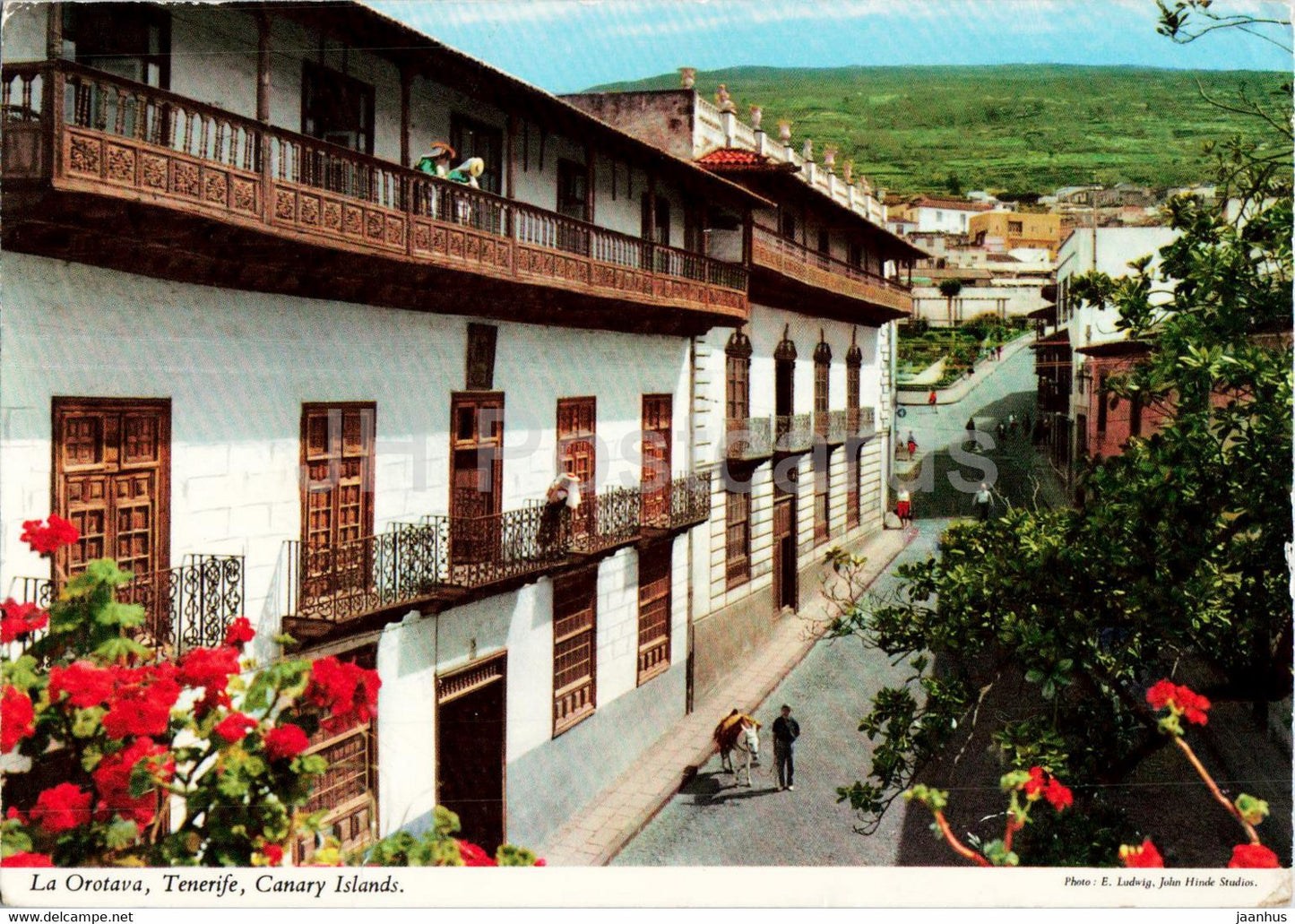 La Orotava - Tenerife - Canary Island - 1977 - Spain - used - JH Postcards