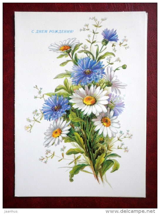 cornflower daisy - flowers - 1985 - Russia USSR - used - JH Postcards