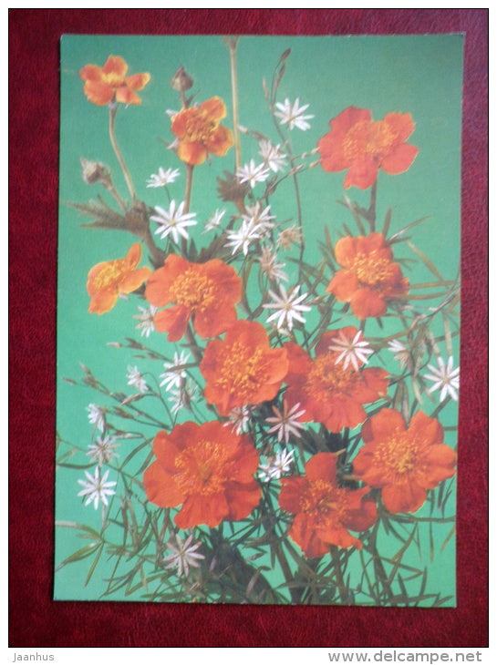 Greeting card - red flowers - composition - flowers - 1989 - Russia USSR - unused - JH Postcards