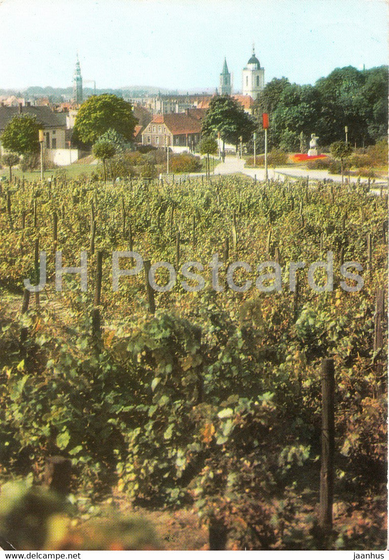 Zielona Gora - Widok z parku Winnego - park - vineyard - Poland - used - JH Postcards