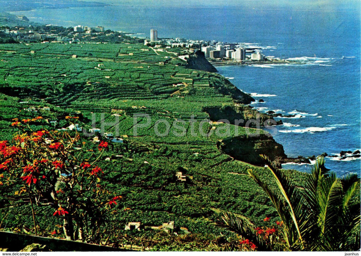 Puerto de la Cruz - Valle de la Orotava - al fondo Puerto de la Cruz - Tenerife - 2296 - Spain - unused - JH Postcards