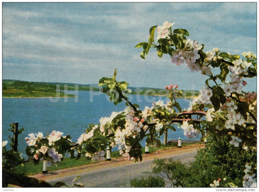 river Daugava near Ogre - Ogre - old postcard - Latvia USSR - unused - JH Postcards