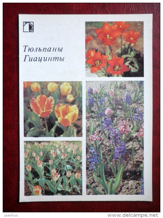 hyacinths - tulips - Decorative flowers - 1987 - Russia USSR - unused - JH Postcards