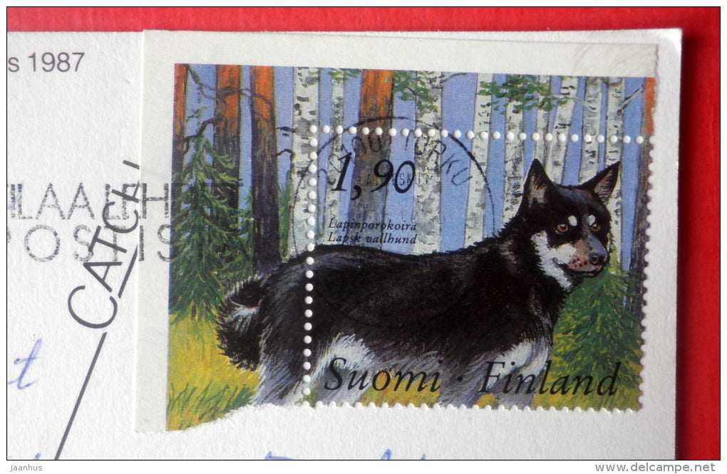 Jardin du Luxembourg - garden - dog - lapphund - PC 1424 - Luxembourg - sent from Finland Turku to Estonia USSR 1989 - JH Postcards