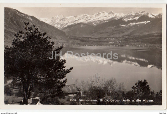 Immensee - Blick gegen Arth u. die Alpen - 1103 - Switzerland - old postcard - unused - JH Postcards