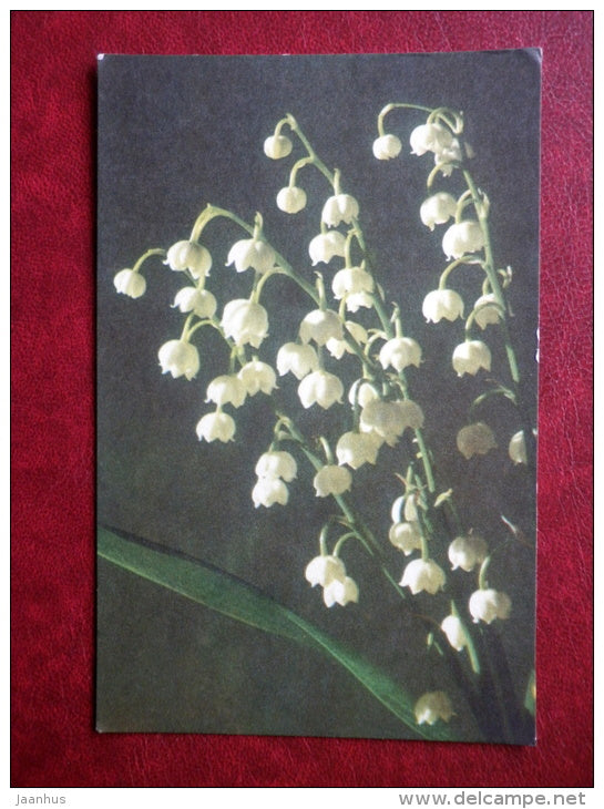 Greeting Card - lily of valley - flowers - 1974 - Estonia USSR - used - JH Postcards