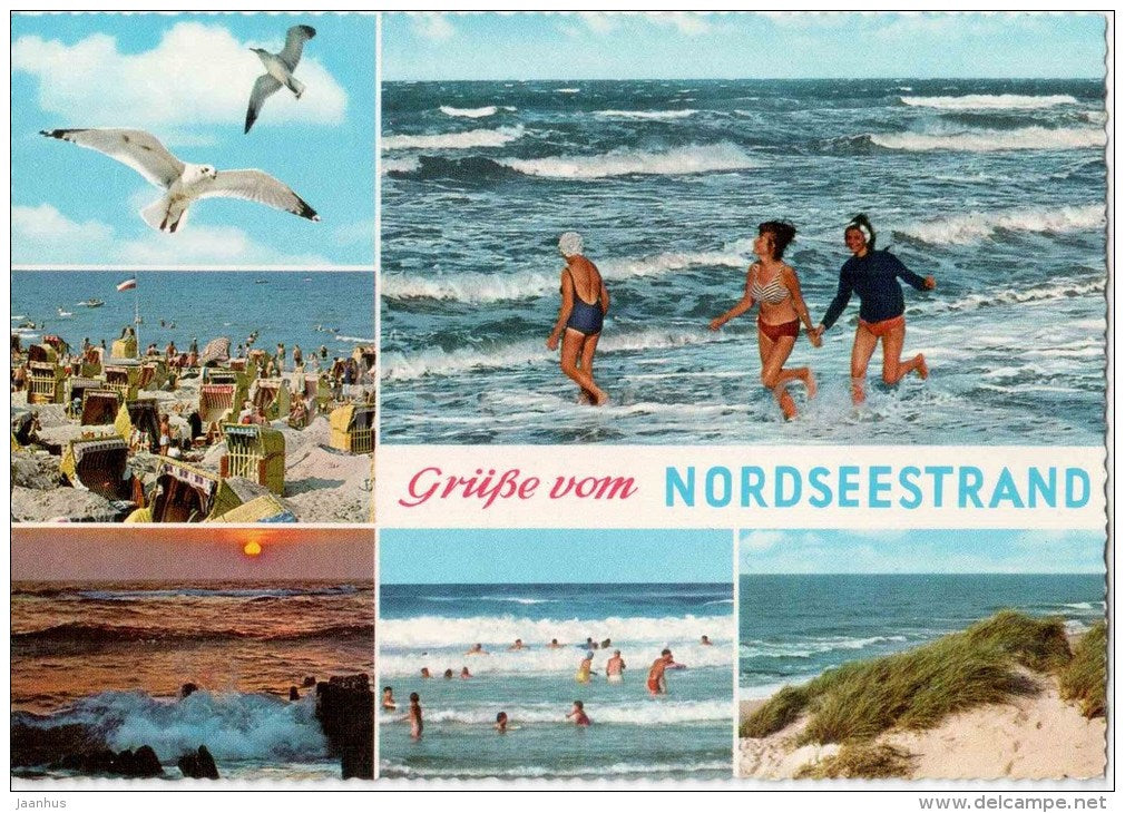 Grüsse vom Nordseestrand - Strand - beach - gull - 916/252 - Germany - ungelaufen - JH Postcards