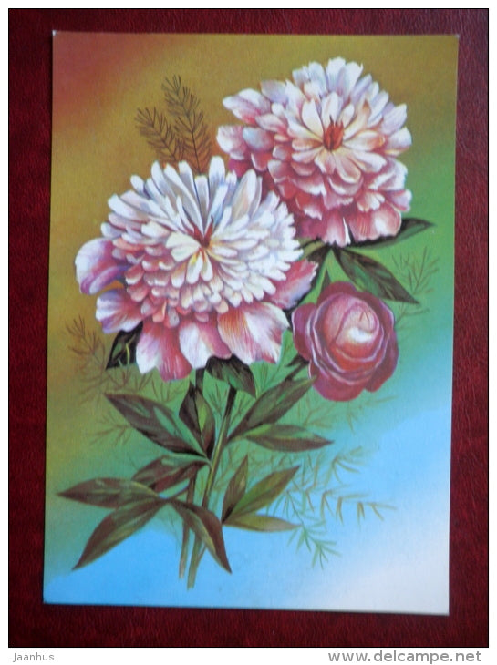 Greeting card - by A. Savin - peonies - flowers - 1989 - Russia USSR - used - JH Postcards