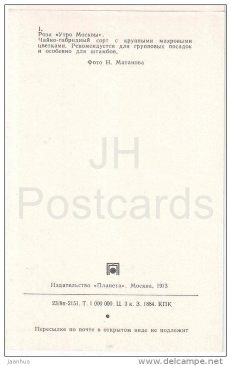 Moscow Morning - flowers - Roses - Russia USSR - 1973 - unused - JH Postcards