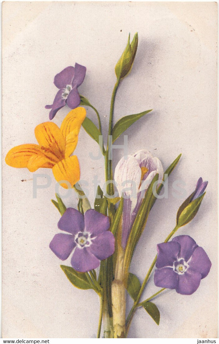 crocus - flowers - Serie P No 90- old postcard - 1922 - Switzerland - used - JH Postcards