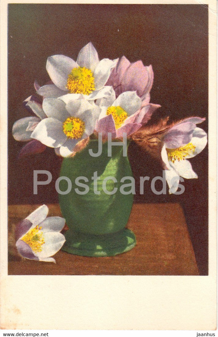 Anemone orintaniere - Spring Anemone - Pelzanemone - flowers - 85 - old postcard - 1951 - Switzerland - used - JH Postcards