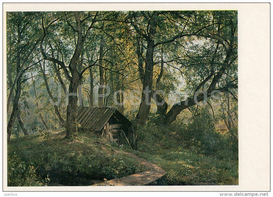 painting by I. Shishkin - Old lindens , 1894 - Russian art - 1985 - Russia USSR - unused - JH Postcards