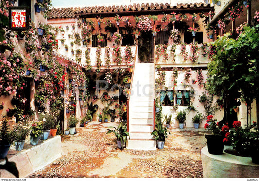 Cordoba - Patio Cordobes - Primer premio - Cordova Courtyard - 773 - Spain - unused - JH Postcards