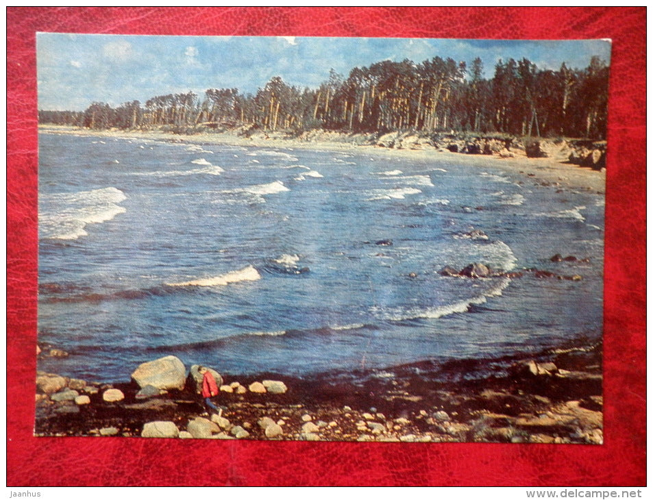 Vidzeme seashore near Tuja - 1977 - Latvia - USSR - unused - JH Postcards