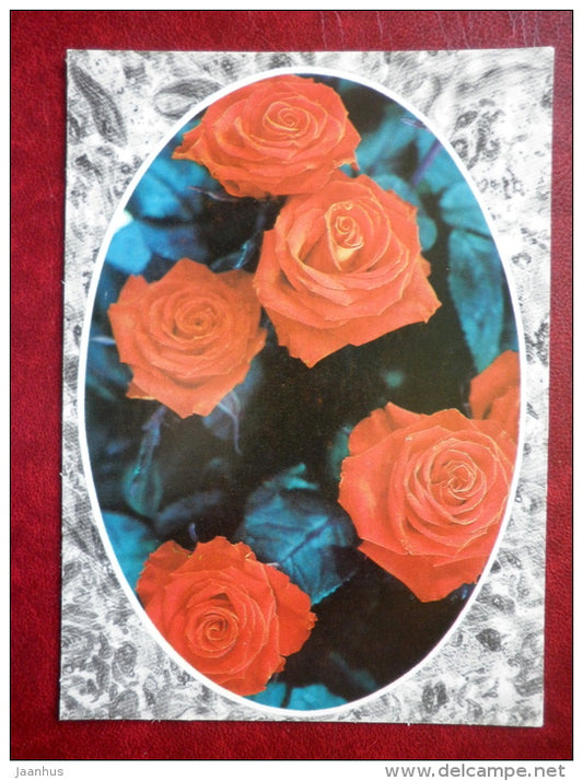 red roses - flowers - 1989 - Russia USSR - used - JH Postcards