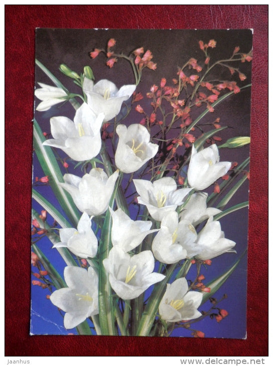 white flowers - flowers - 1989 - Russia USSR - used - JH Postcards