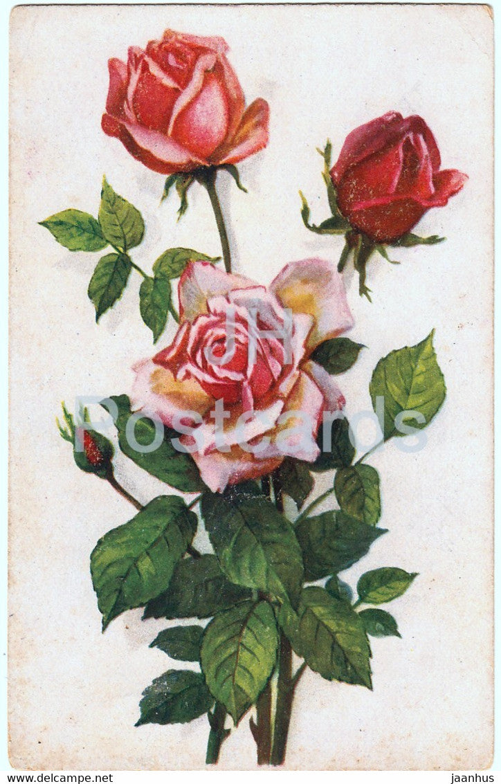 flowers - roses - Aquarell Serie - illustration - old postcard - 1920 - France - used - JH Postcards