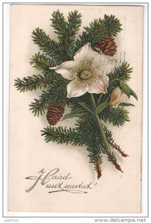 New Year greeting card - fir cones - flowers - WO 716 - old postcard - circulated in Estonia 1938 , Tallinn - used - JH Postcards