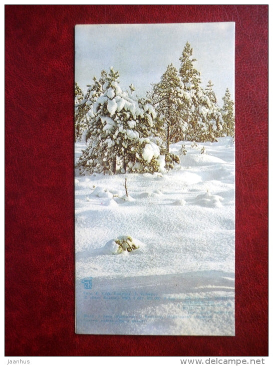 New Year Greeting card - winter landscape - 1983 - Estonia USSR - unused - JH Postcards