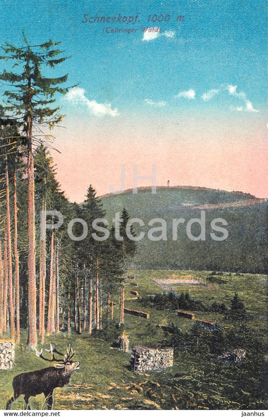 Schneekopf 1000 m - Thur Wald - deer - 10519 - old postcard - Germany - unused - JH Postcards