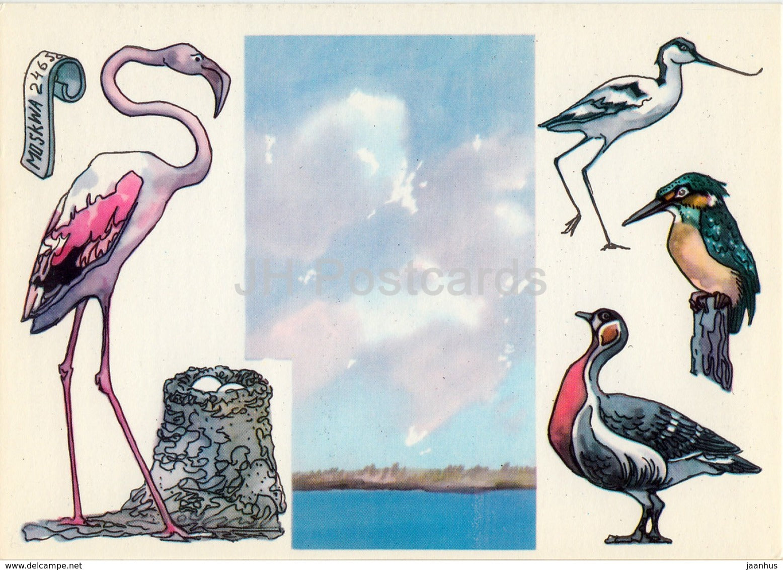 flaminfo - Pied avocet - Common kingfisher - Red-breasted goose  Ghizil-Agaj State Reserve - 1975 - Russia USSR - unused - JH Postcards