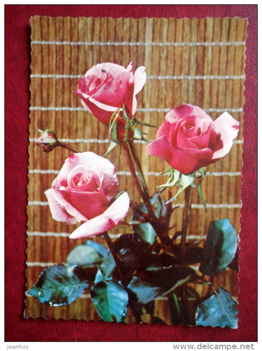 Greeting Card - red roses - flowers - Western Germany - used - JH Postcards