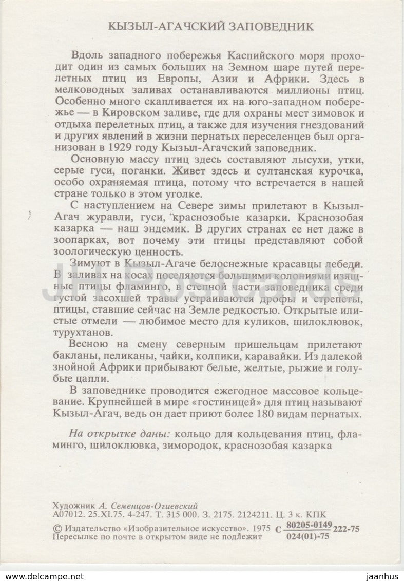 flaminfo - Avocette élégante - Martin-pêcheur commun - Oie à cou roux Réserve d'État de Ghizil-Agaj - 1975 - Russie URSS - inutilisé