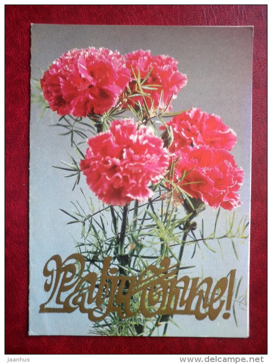 greeting card - red carnations - flowers - 1985 - Estonia USSR - used - JH Postcards