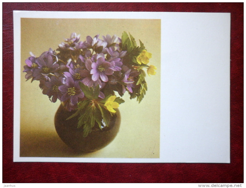 hepatica - flowers - 1985 - Estonia USSR - used - JH Postcards