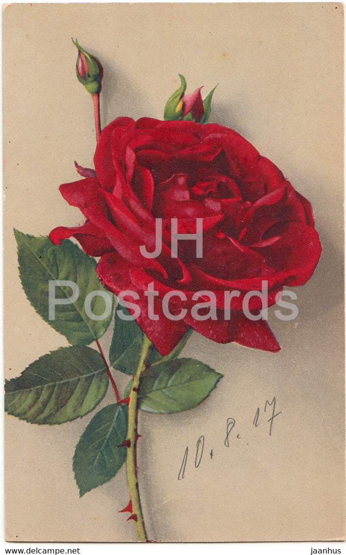 Red Rose - Flowers - NZG Serie 214 - old postcard - 1917 - used - JH Postcards