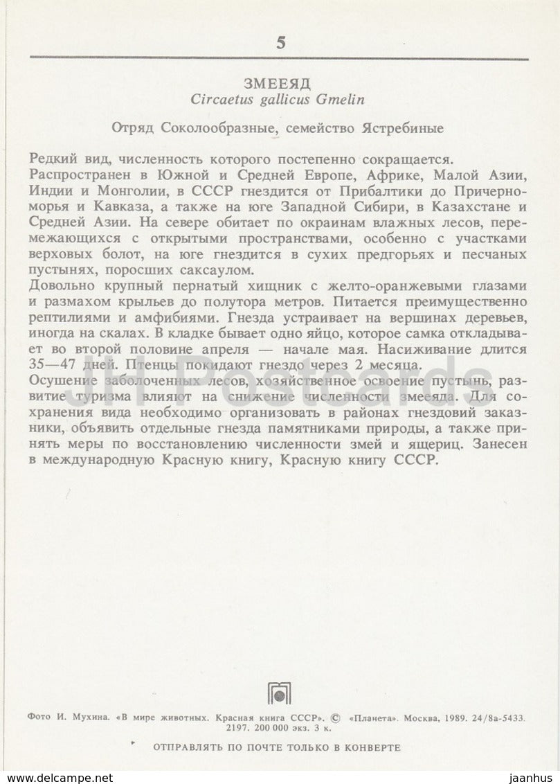 Short-toed snake eagle - Circaetus gallicus - birds - animals - 1989 - Russia USSR - unused - JH Postcards