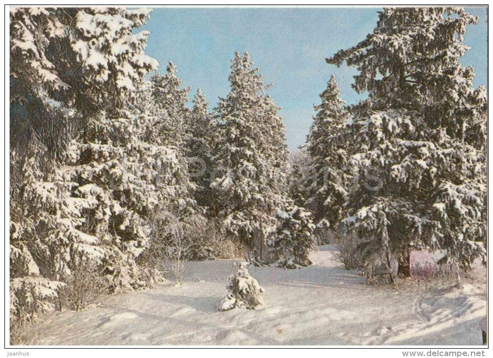 New Year Greeting card - wintr forest - view - landscape - 1984 - Estonia USSR - used - JH Postcards